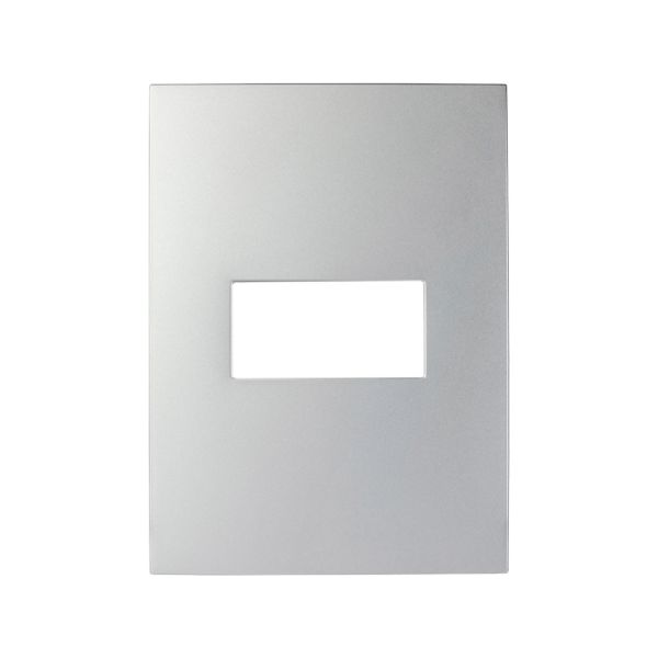 Placa de 1 módulo, 117 x 85 mm, plata. N2471-PL Estevez