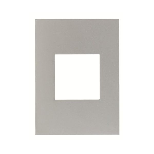 Placa de 2 módulos, 117 x 85 mm, plata. N2472-PL Estevez
