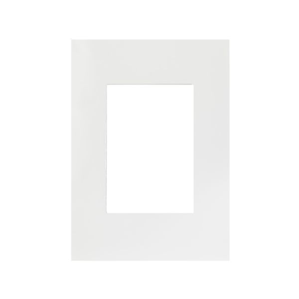 Placa de 3 módulos, 117 x 85 mm, blanco. N2473-BL Estevez