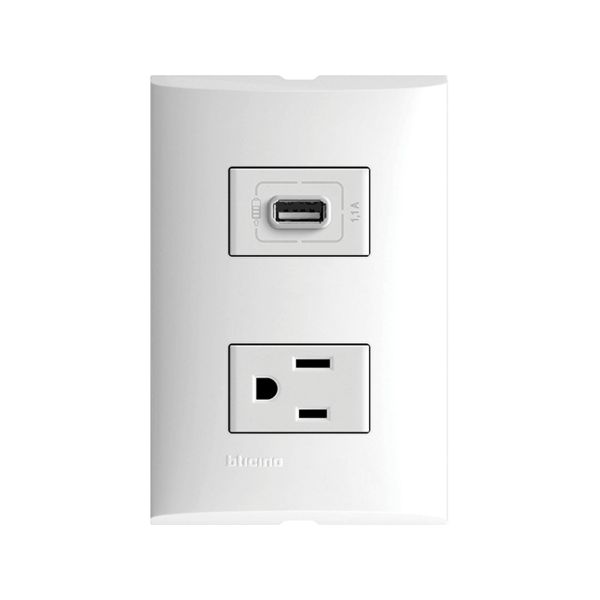 Placa con 1 tomacorriente, 2 polos + tierra, 15 A, y 1 cargador USB, 1.1 A, blanco. FZA29S21S Bticino