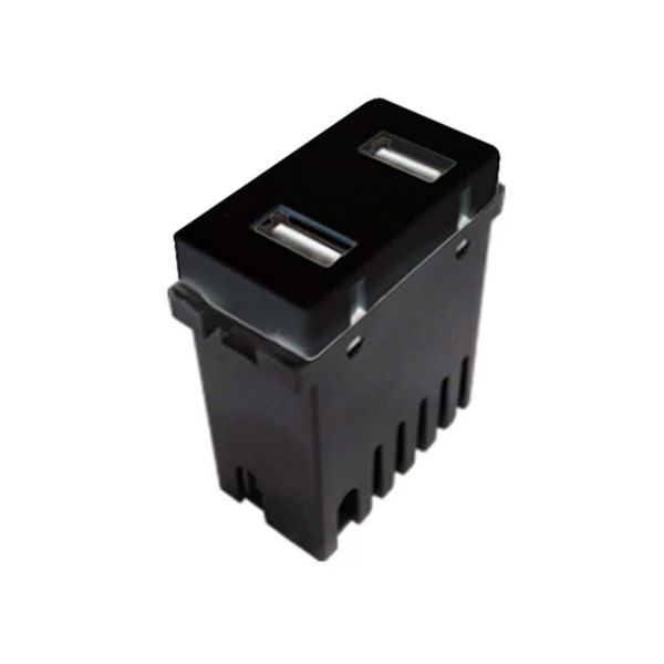 Módulo de 2 puerto USB, 2 A, negro. 100-USB-BK Royer