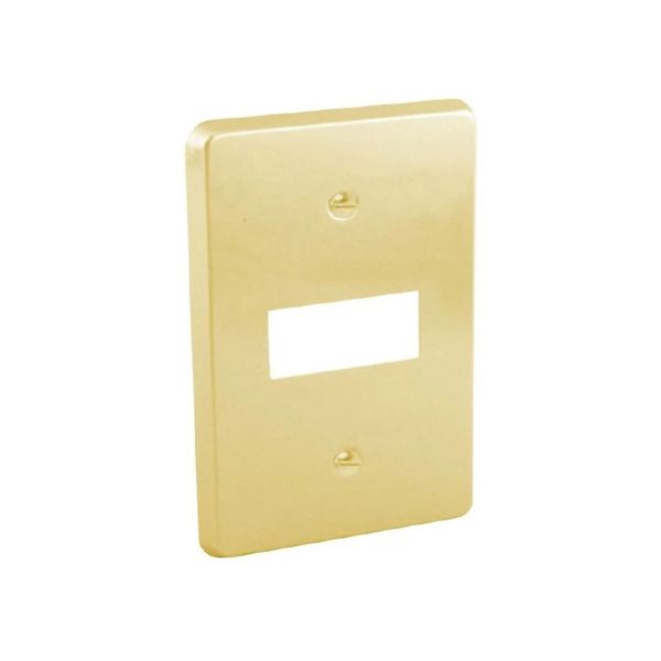 Placa de 1 módulo, aluminio, oro. WD3361 Royer
