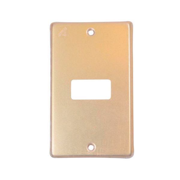 Placa de 1 módulo, aluminio, dorado. WD5361 Royer