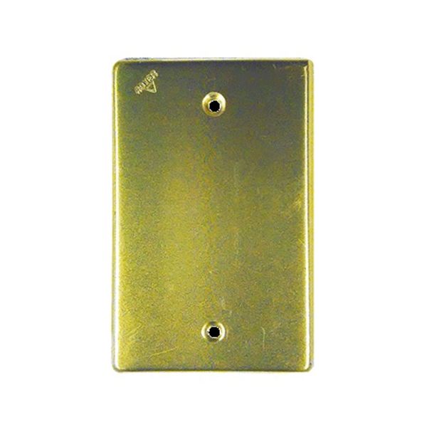 Placa ciega de aluminio dorado con tornillos. WD5369 Royer