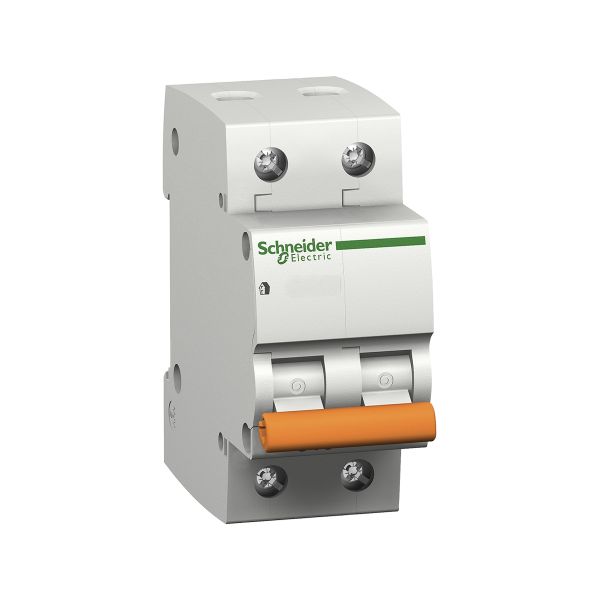 Interruptor Termomagnético para Riel DIN 2 Polos, 63A, 12596 Schneider Electric