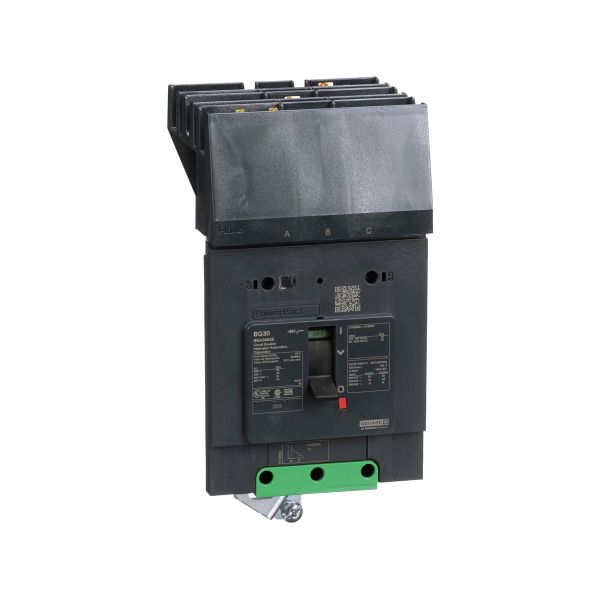 Interruptor automático, termomagnético, 30 A. BGA36030 Schneider Electric