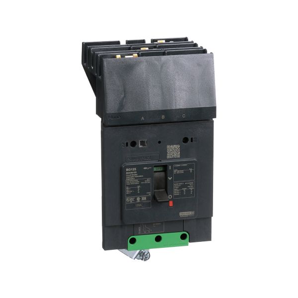 Interruptor automático, termomagnético, 125 A. BGA36125 Schneider Electric