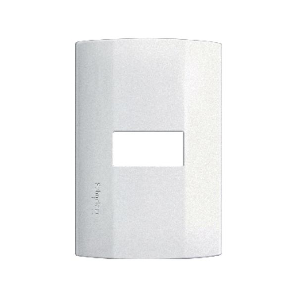 Placa De 1 Módulo MWD130617221 Schneider Electric