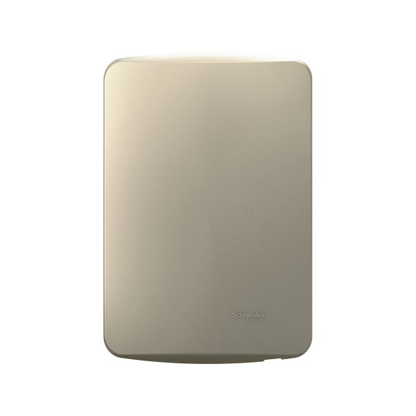 Placa Ciega + Soporte, Salsa Gold, S3D27200 Schneider Electric