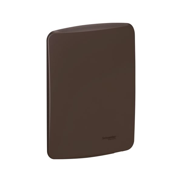 Placa Ciega + Soporte, Salsa Brown, S3M27200 Schneider Electric