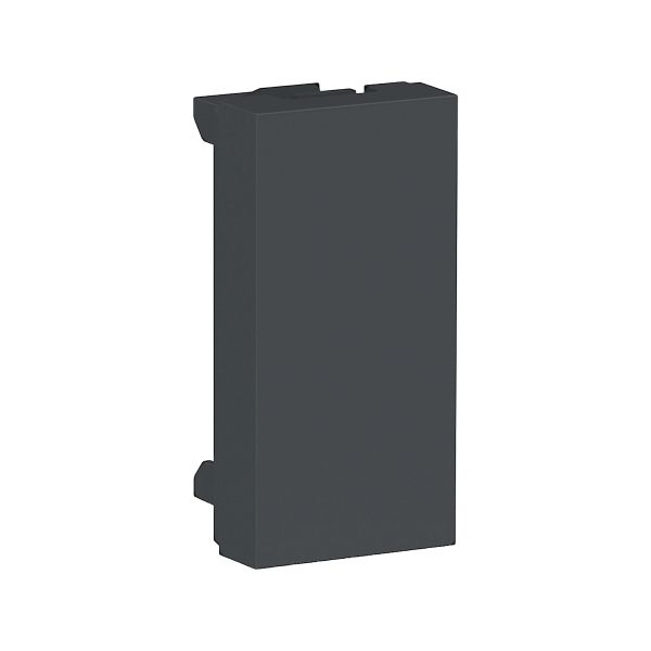 Módulo Ciego 1 Módulo (Set 2 piezas) S70866194 Schneider Electric