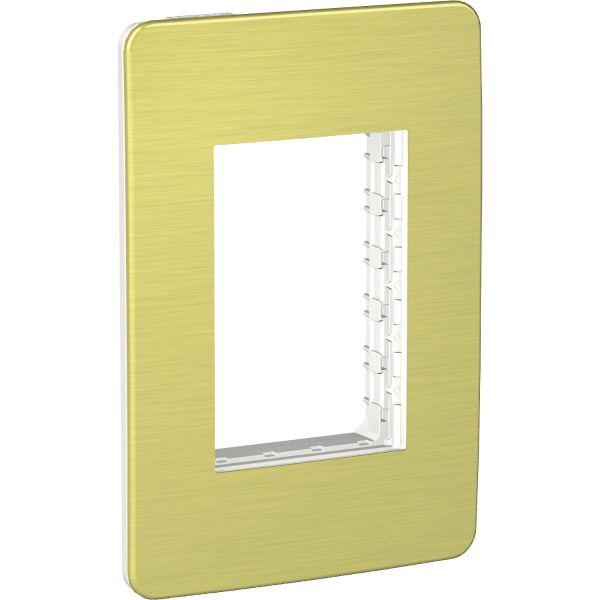 Placa con chasis, módulos, amarillo metalico. S733603605 Schneider Electric