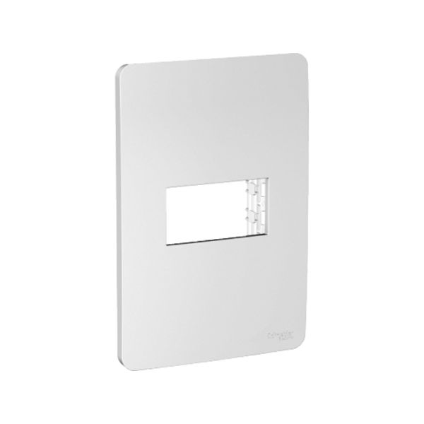 Placa de 1 módulo y 1 segmento en color plata. S735101274 Schneider Electric