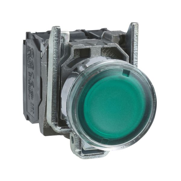 Pulsador luminoso verde Ø 22, retorno resorte nivelado, 250 V. XB4BW3365 Schneider Electric