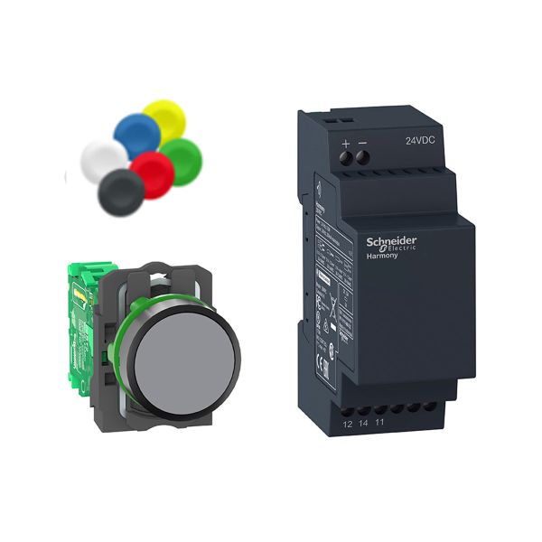 Pack XB5R 22mm no-programable, relé 24 V. XB5RFB01 Schneider Electric