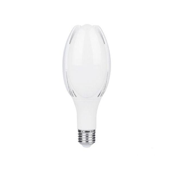 Foco de alta potencia LED, 50 W. LHBM-LED/50/65 Tecnolite