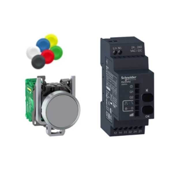 Paquete inalámbrico XB4R, 2 relé ac. XB4RFA02 Schneider Electric