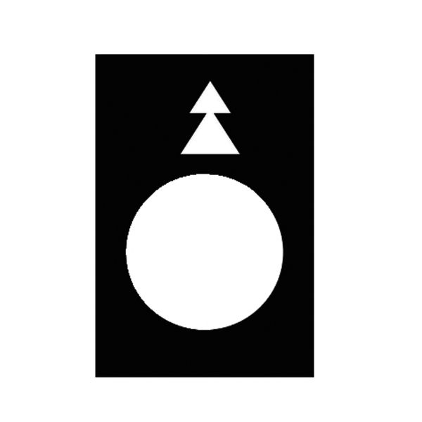 Placa de identificación, 30 x 40 mm, plástico, negro, botón pulsador de 22 mm. ZB2BY2912 Schneider Electric