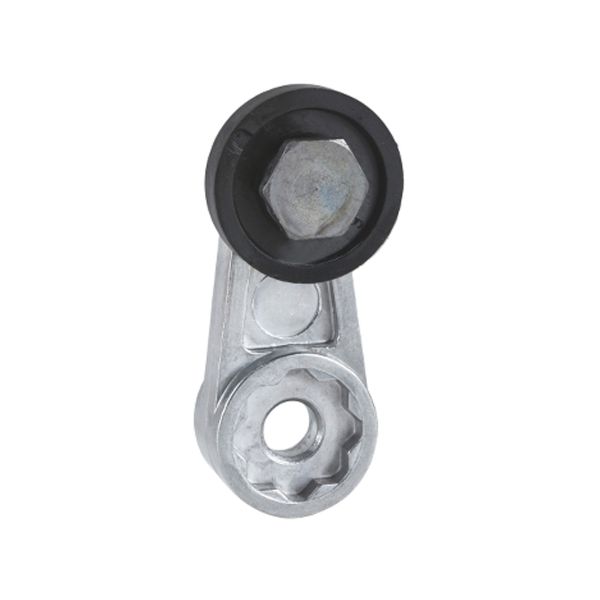 Cabezal de palanca con rodillo para interruptor. ZCKY11 Schneider Electric