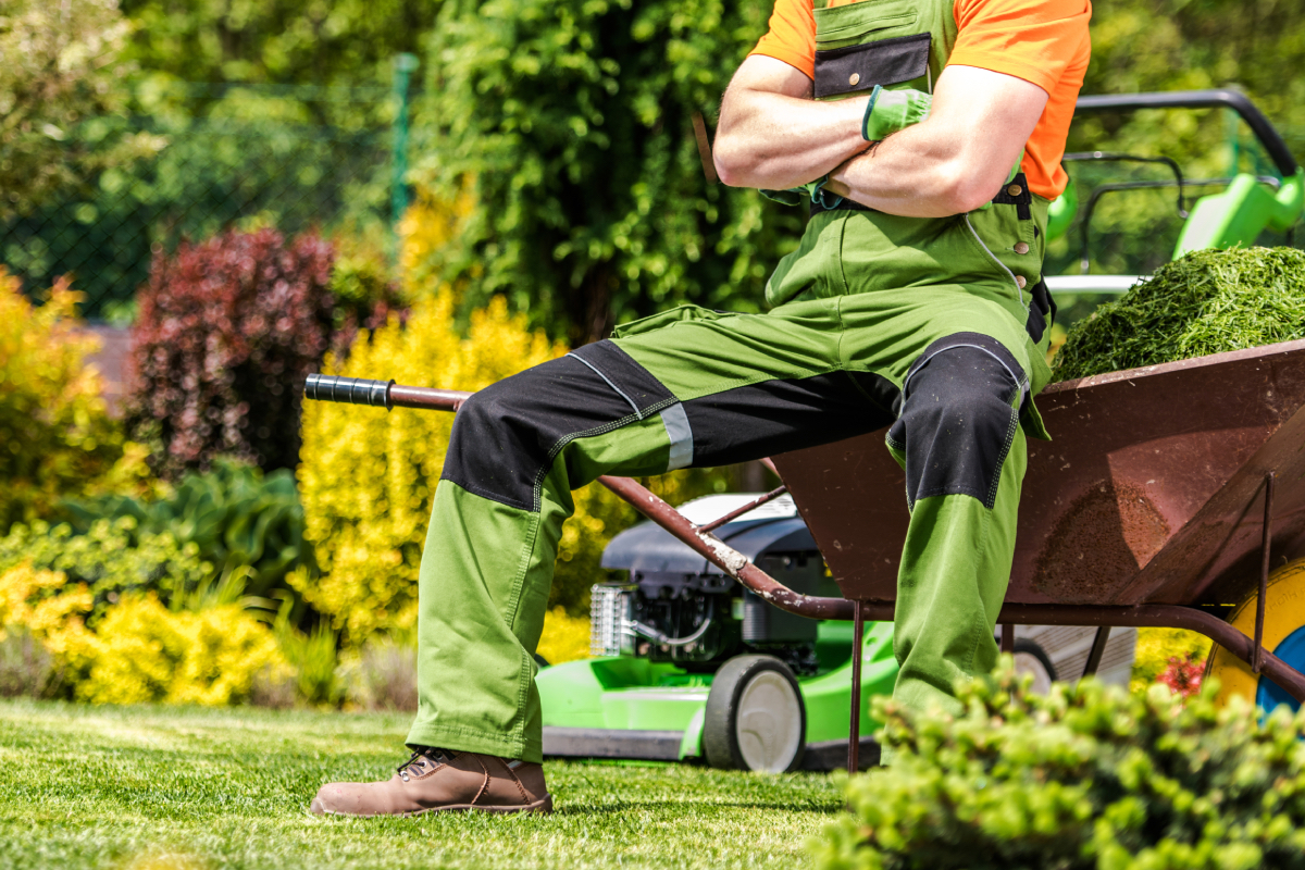 Herramientas esenciales para cada tarea de jardinería