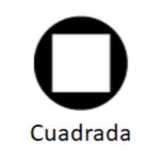 Cuadrada punta